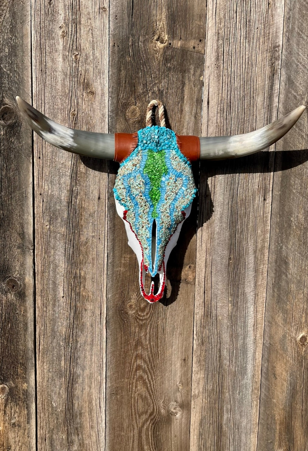 Blue Bull Beauty Steer Head